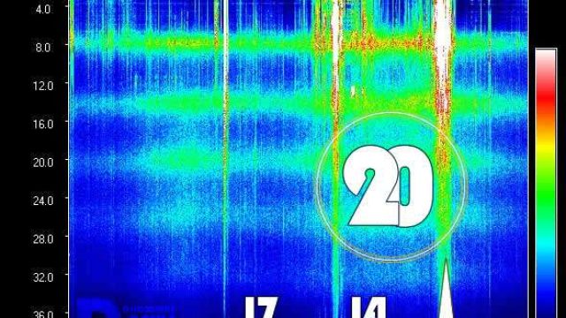 Understanding the Schumann Resonance and Its Current Implications