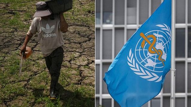 UN Warns of Severe El Niño: Impacts on Global Weather Patterns Ahead