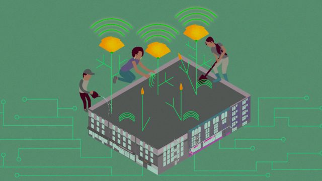 Protecting Yourself from Doxxing: Essential Strategies for Incident Response